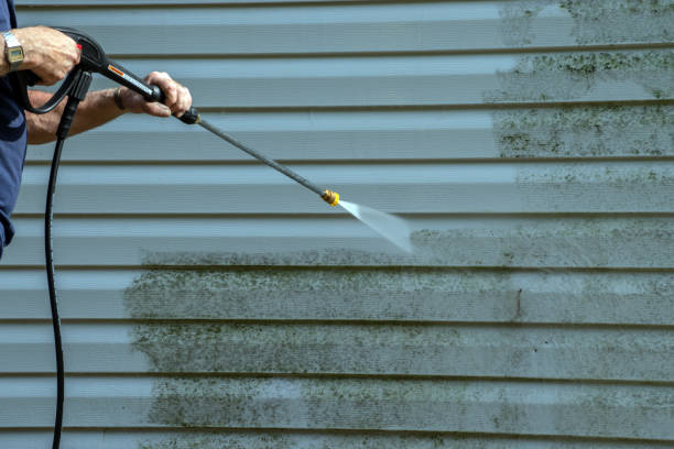 Best Roof Pressure Washing  in Somerset, NJ